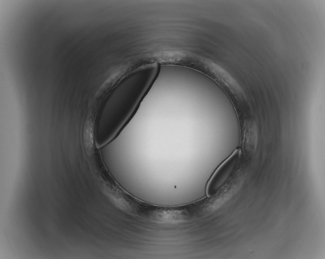 X0000116450501200912081417