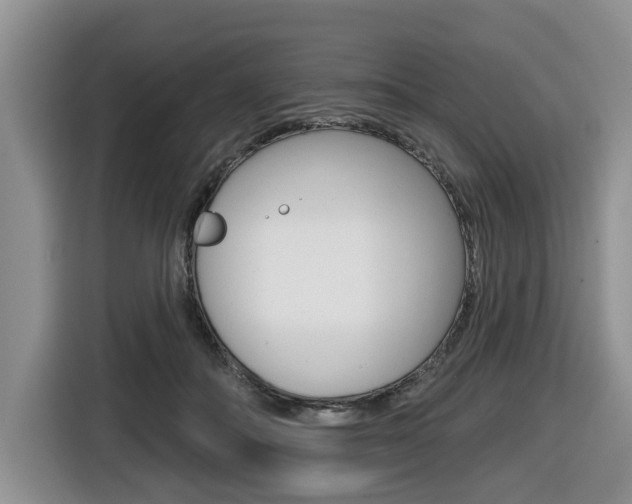 X0000116450506200912081417