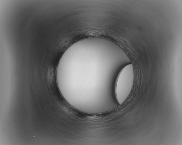 X0000116450511200912081417