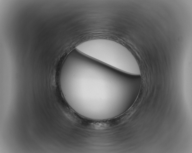 X0000116450512200912081417