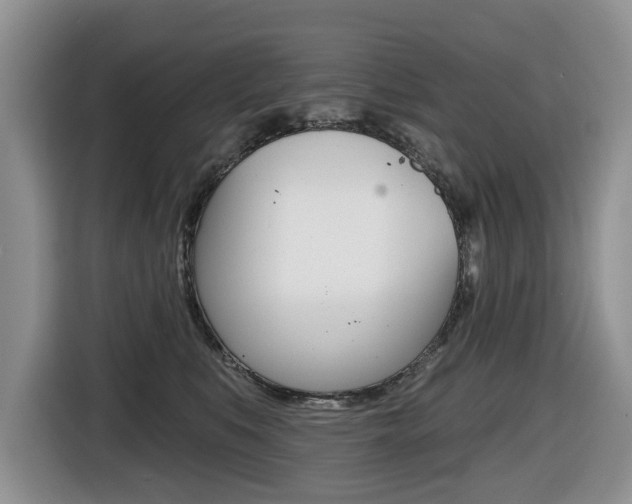 X0000116450519200912081416