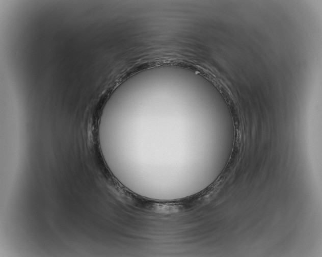 X0000116450520200912081416