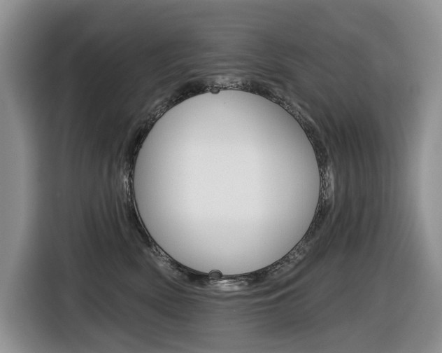 X0000116450522200912081416