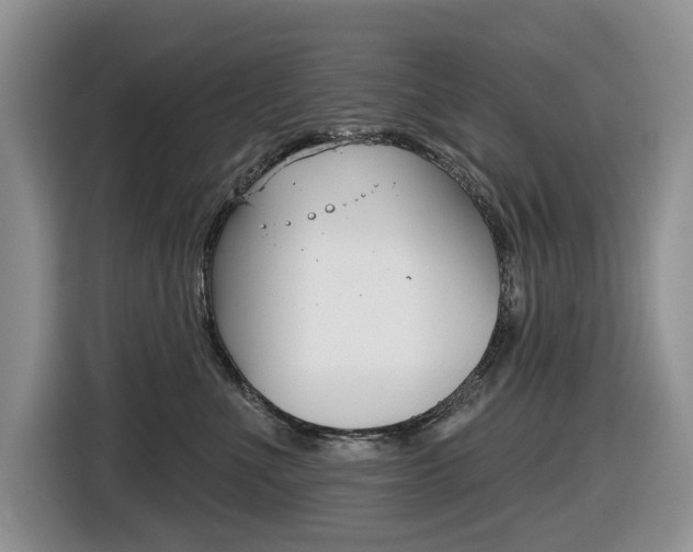 X0000116450523200912081416