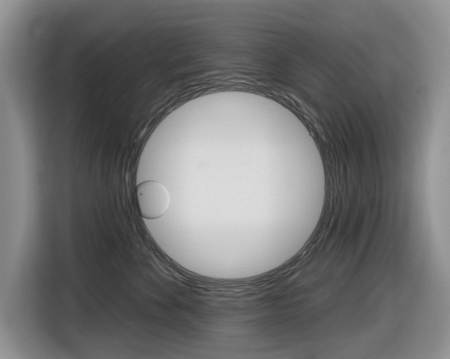 X0000116450524200912081416