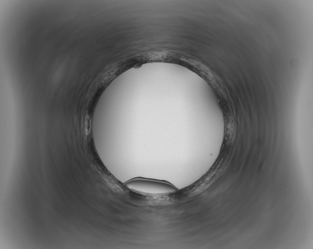 X0000116450525200912081416