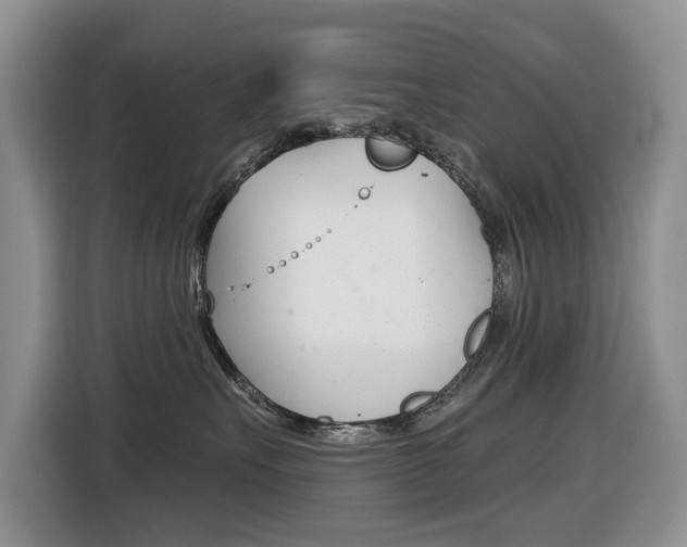 X0000116450527200912081416