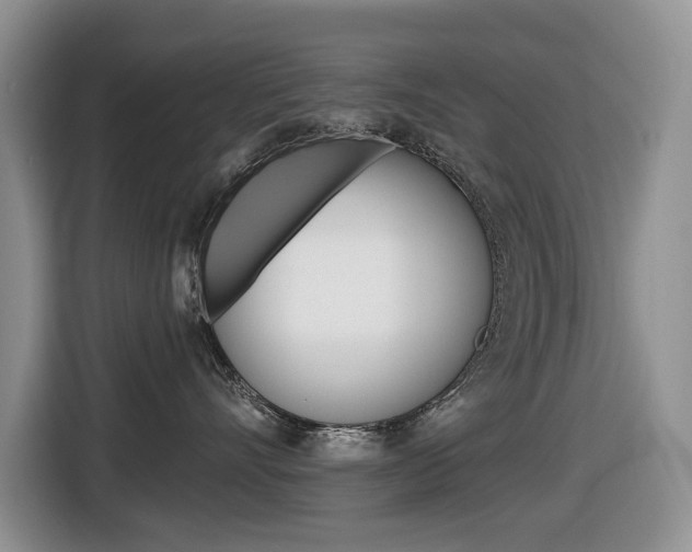 X0000116450528200912081416