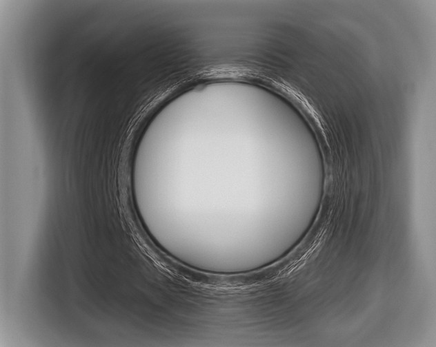 X0000116450529200912081416