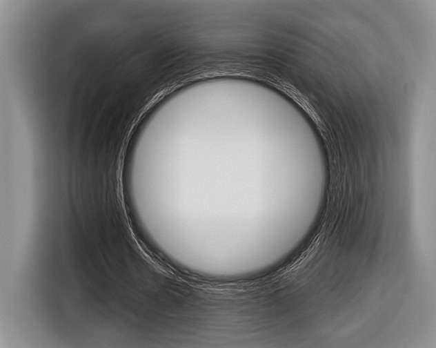 X0000116450530200912081416