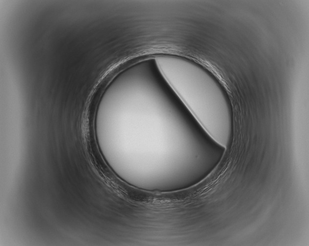 X0000116450531200912081416