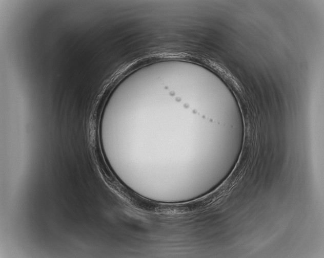 X0000116450533200912081416