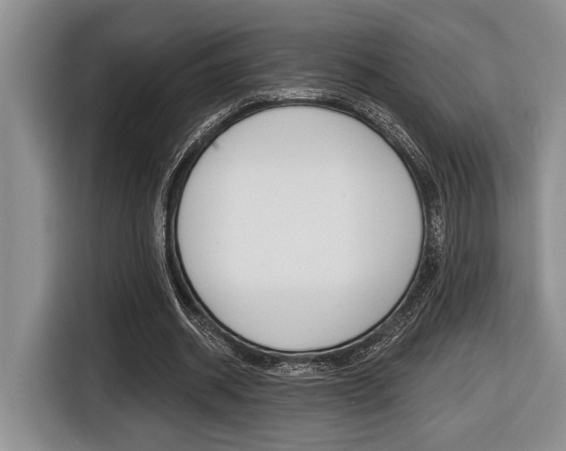X0000116450534200912081416