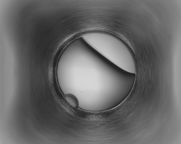 X0000116450535200912081416