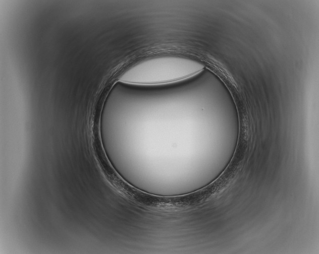X0000116450538200912081416