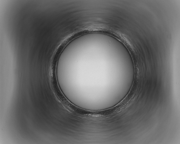 X0000116450539200912081416