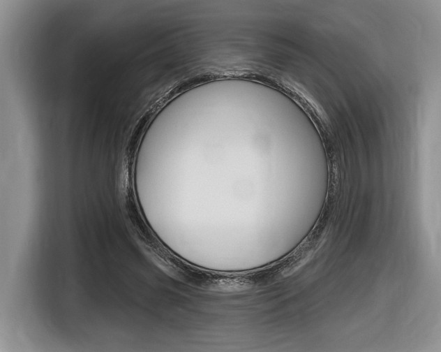 X0000116450541200912081416