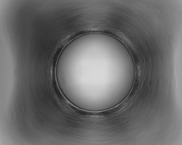 X0000116450542200912081416