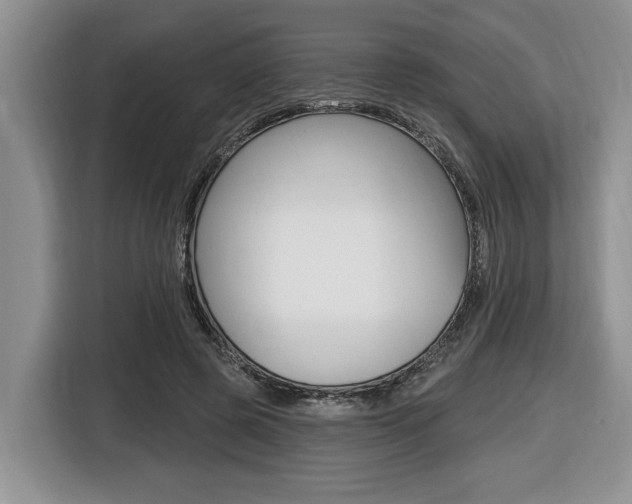 X0000116450545200912081416