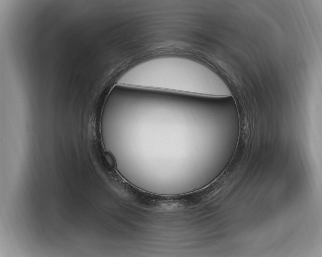 X0000116450547200912081416