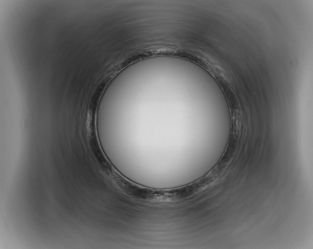 X0000116450550200912081416