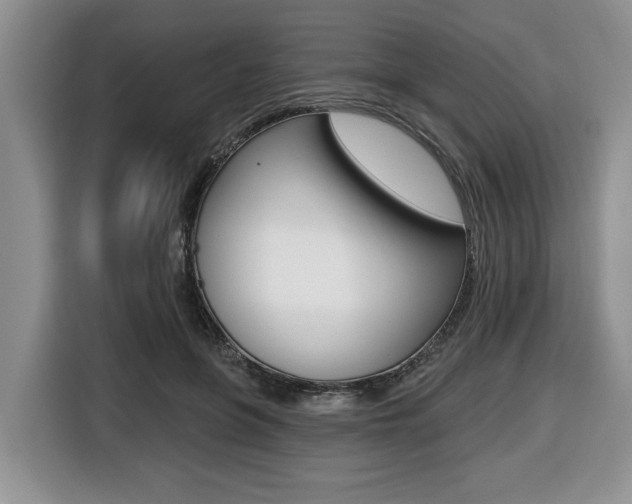 X0000116450551200912081416
