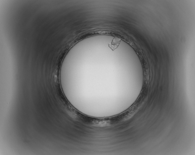 X0000116450553200912081416