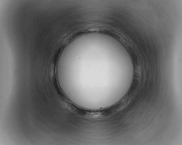 X0000116450554200912081416
