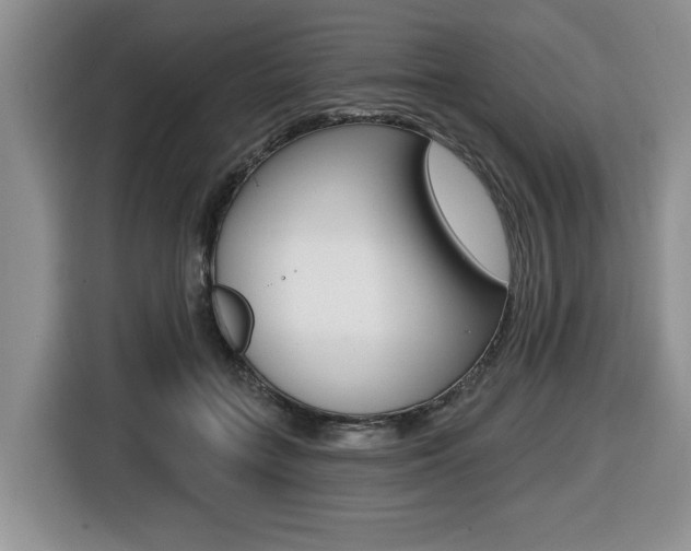 X0000116450555200912081416