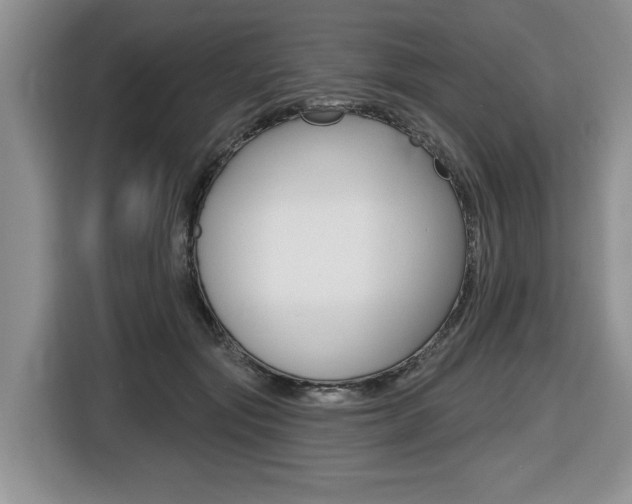 X0000116450557200912081416