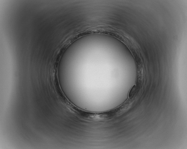 X0000116450558200912081416