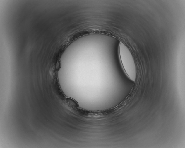 X0000116450559200912081416