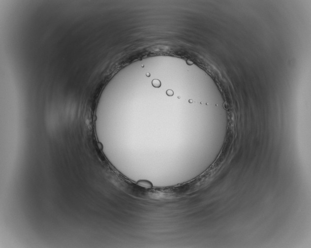 X0000116450561200912081416