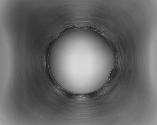 X0000116450562200912081416