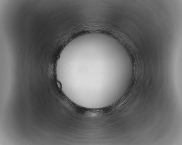 X0000116450563200912081416