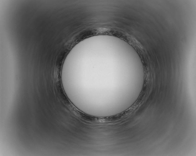 X0000116450565200912081416