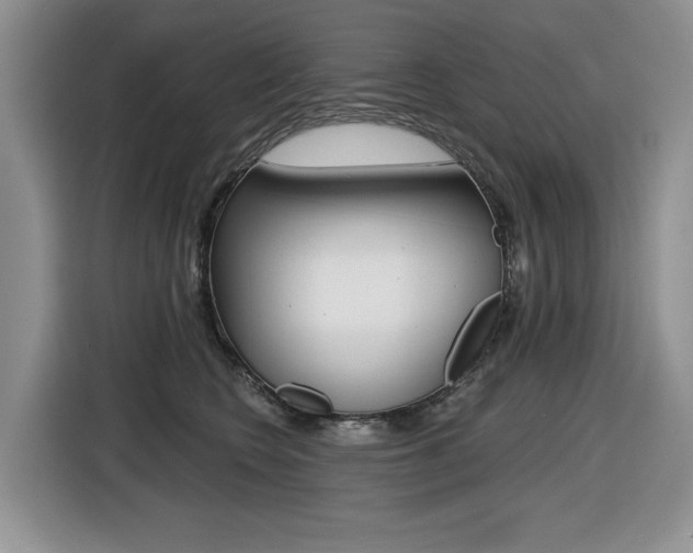 X0000116450566200912081416
