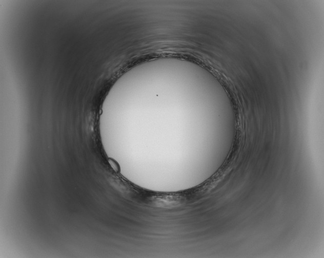 X0000116450567200912081416