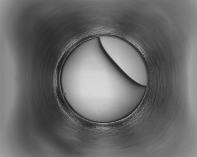 X0000116450582200912081416