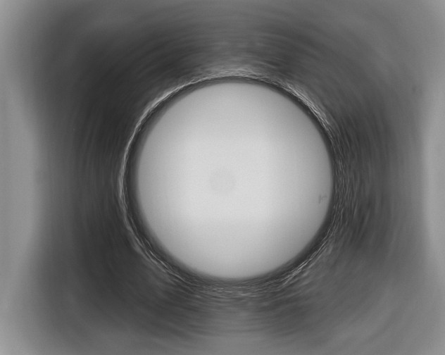 X0000116450583200912081416