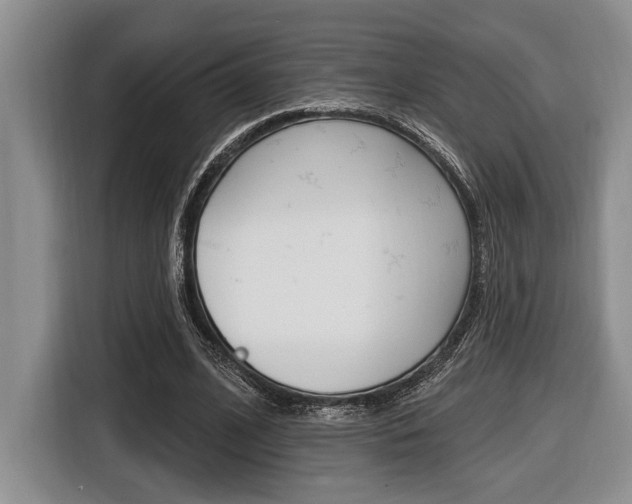 X0000116450584200912081416