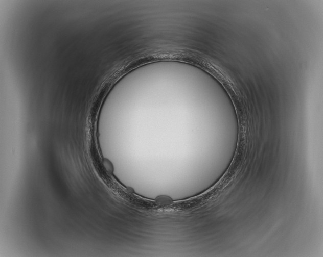 X0000116450586200912081416
