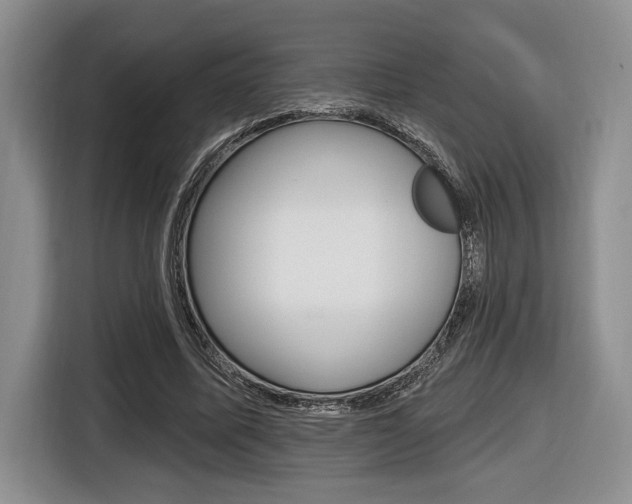 X0000116450587200912081416