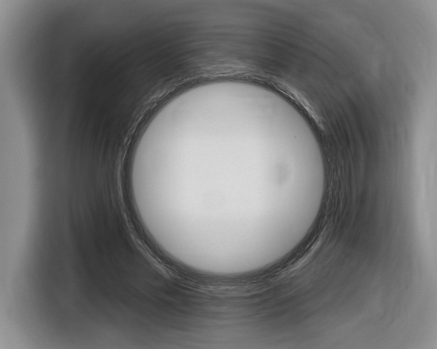 X0000116450589200912081416
