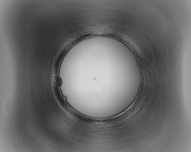 X0000116450590200912081416