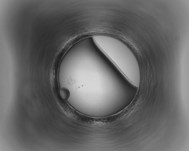 X0000116450592200912081416