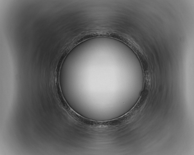 X0000116450593200912081416