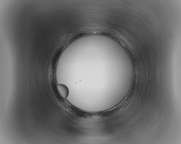 X0000116450594200912081415