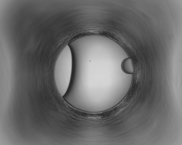 X0000116450595200912081415