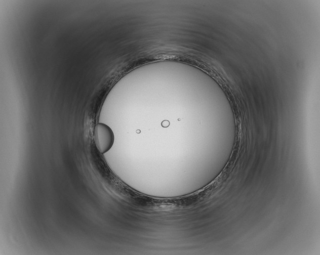 X0000116450598200912081415